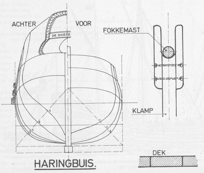 Desnerck (1976, fig. 062)