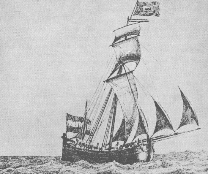 Desnerck (1976, fig. 066)
