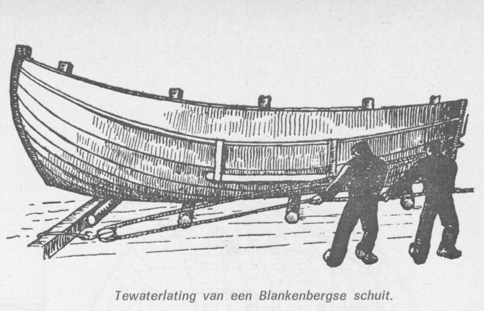 Desnerck (1976, fig. 078)