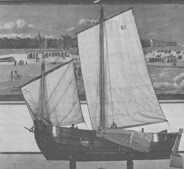 Desnerck (1976, fig. 083)