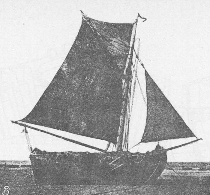 Desnerck (1976, fig. 088)