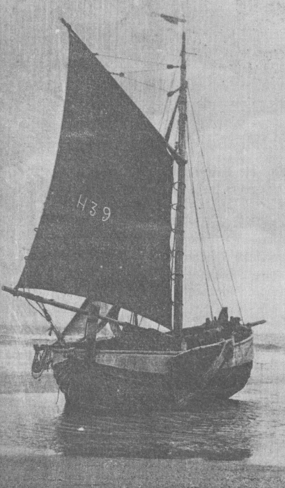 Desnerck (1976, fig. 089)