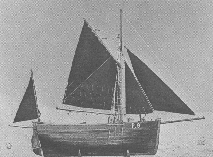 Desnerck (1976, fig. 114)