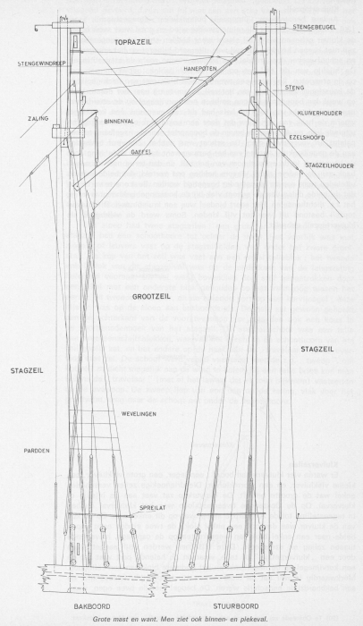 Desnerck (1976, fig. 138)