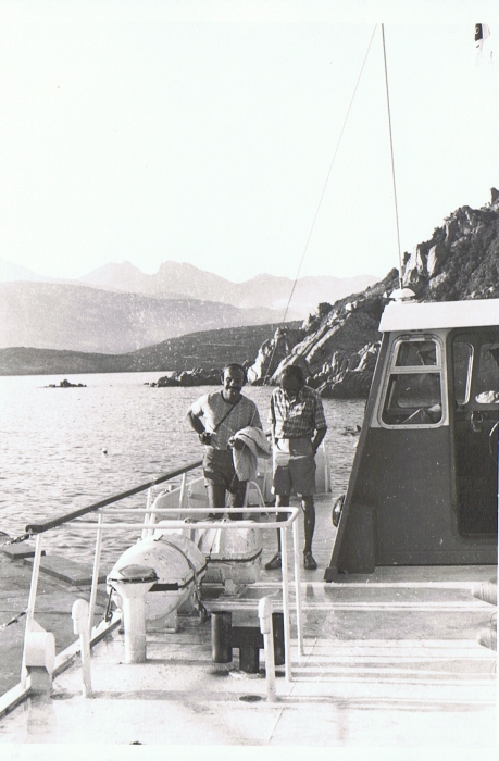 Wollast (1974)