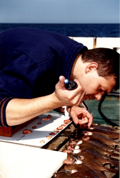 Kris Cooreman