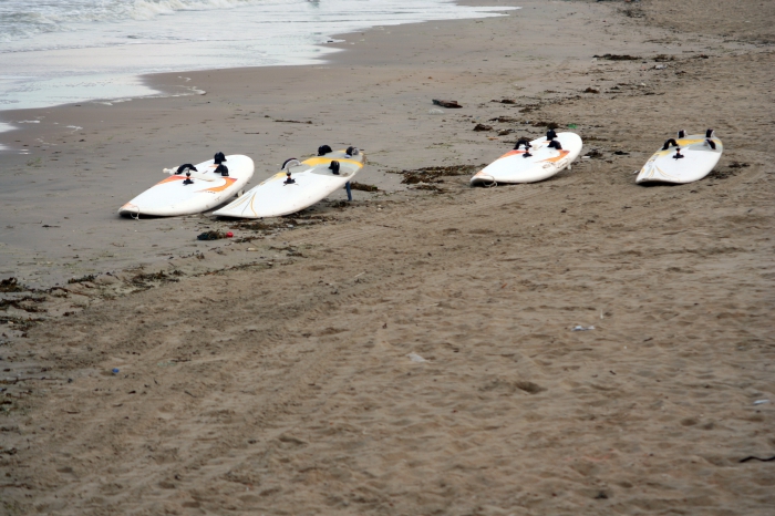Surfplanken op het strand Surfplanken op het strand