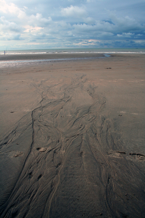 Sporen in het zand Sporen in het zand