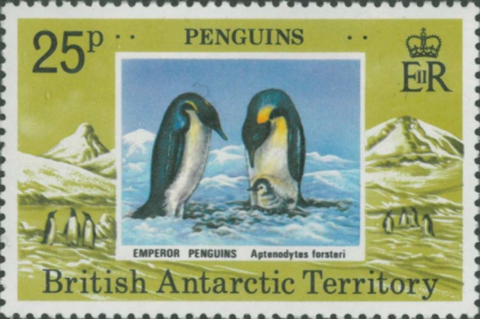 Aptenodytes forsteri