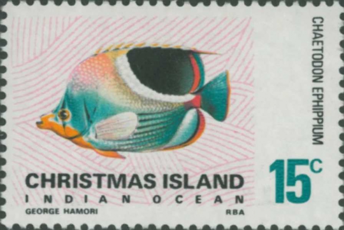 Chaetodon ephippium