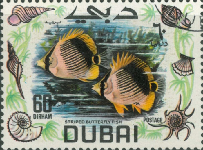 Chaetodon melannotus