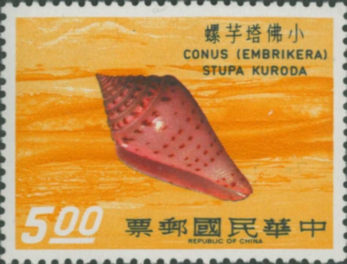 Conus stupa