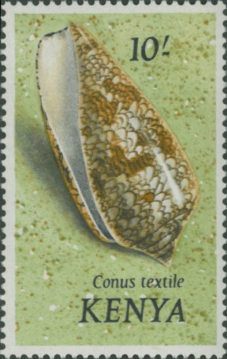 Conus textile