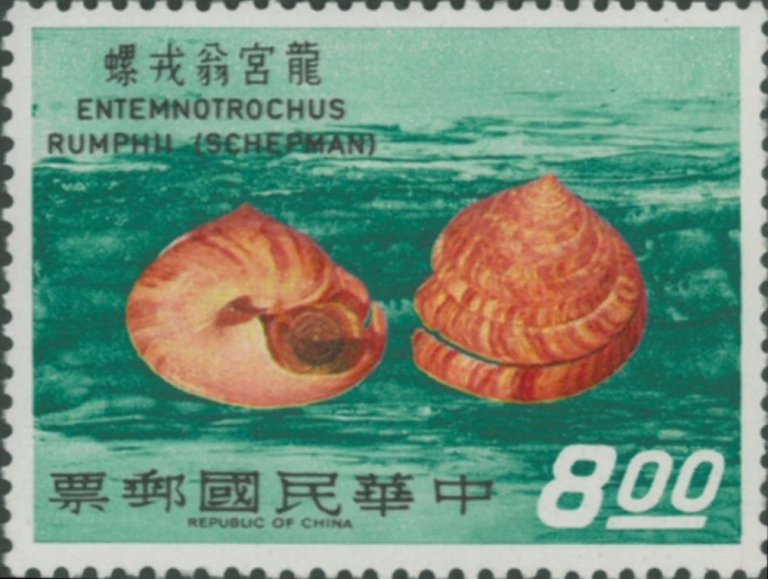 Entemnotrochus rumphii
