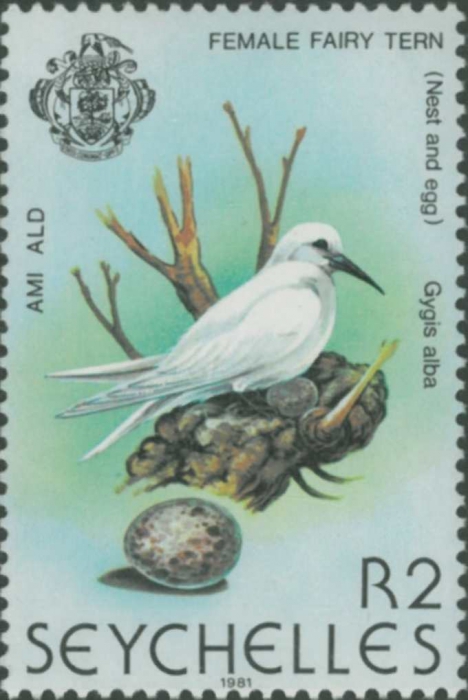 Gygis alba
