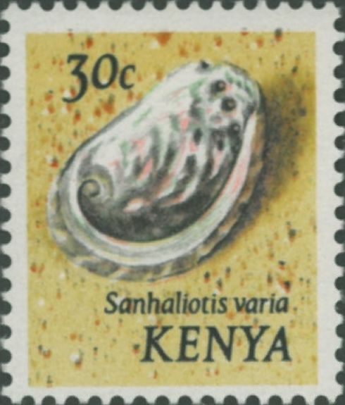 Haliotis varia
