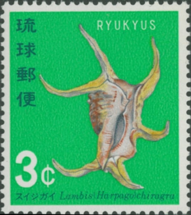 Lambis chiragra