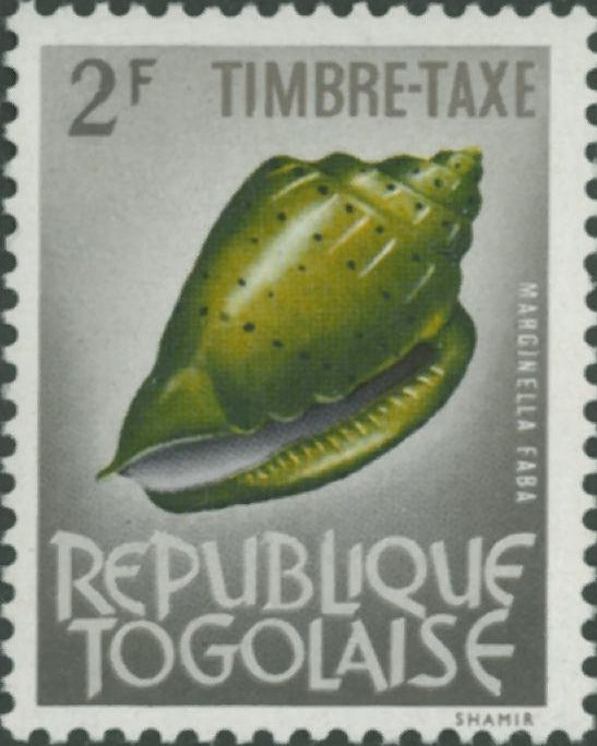 Marginella faba
