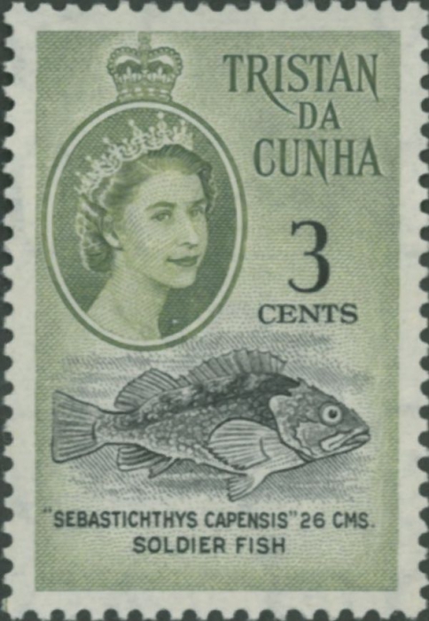 Sebastichthys capensis
