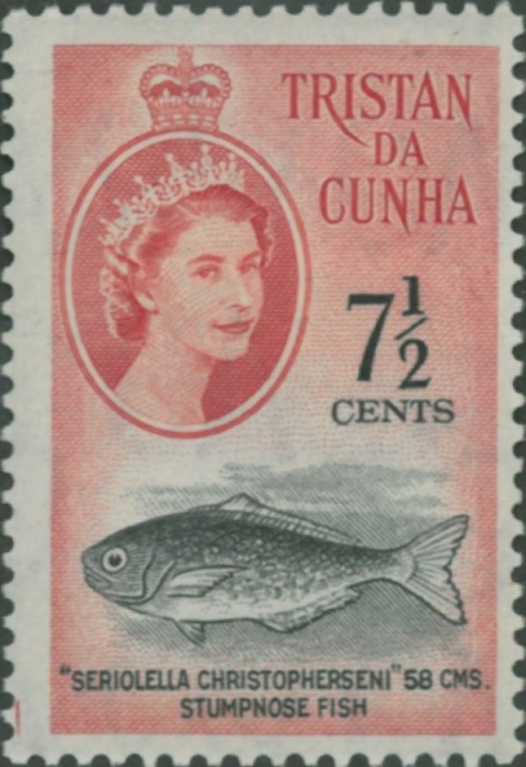 Seriolella christopherseni
