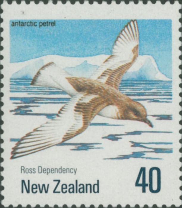 Thalassoica antarctica