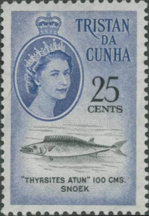 Thyrsites atun