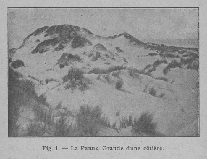 Rahir (1928, fig. 01)