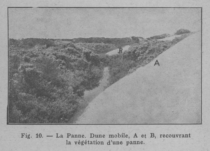 Rahir (1928, fig. 10)