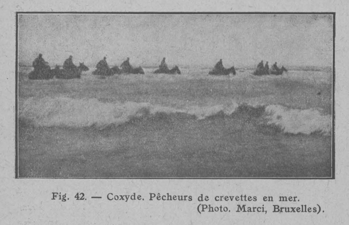 Rahir (1928, fig. 42)