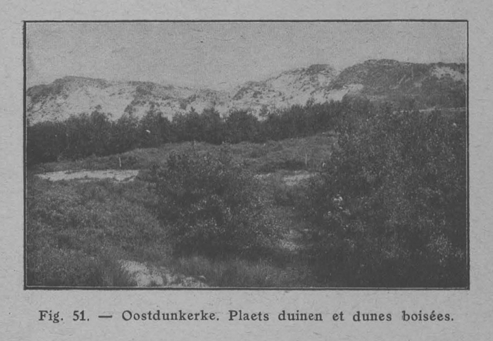 Rahir (1928, fig. 51)