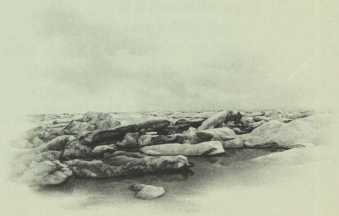 Duc d'Orléans (1909, fig. 117)