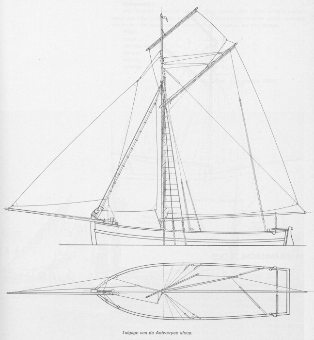 Desnerck (1976, fig. 157)