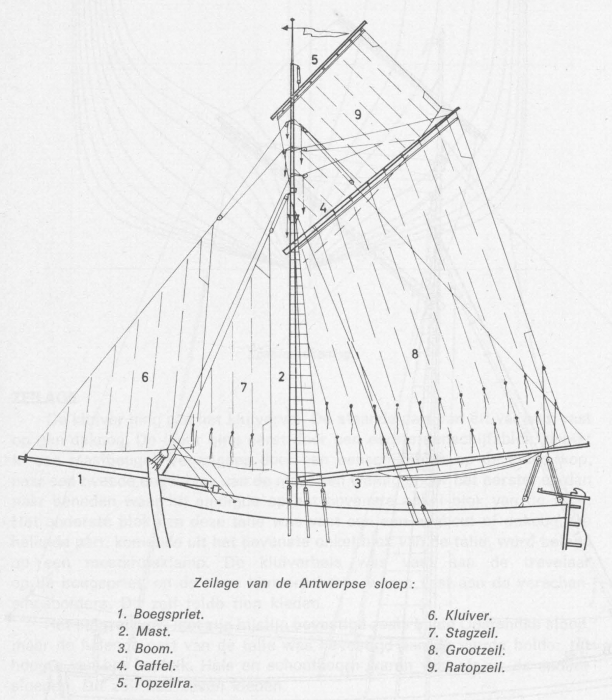 Desnerck (1976, fig. 158)