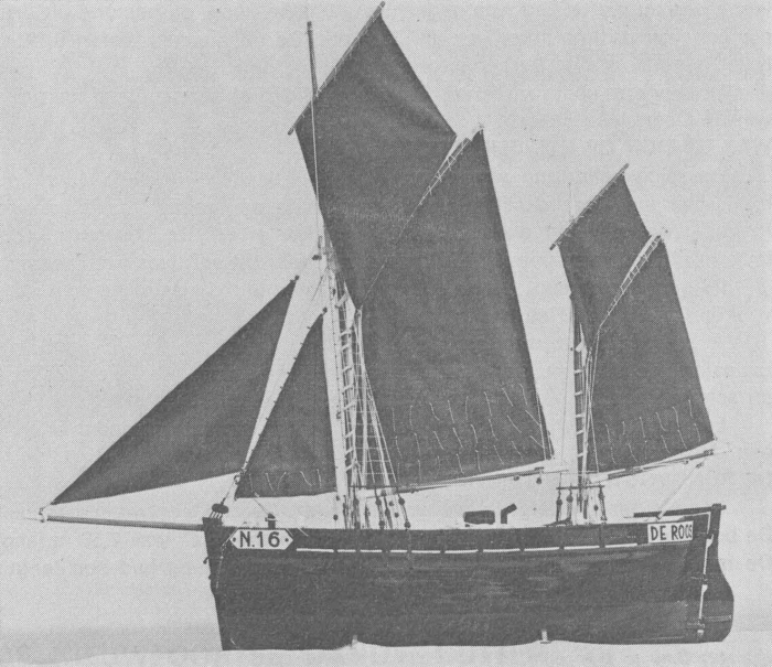 Desnerck (1976, fig. 162)