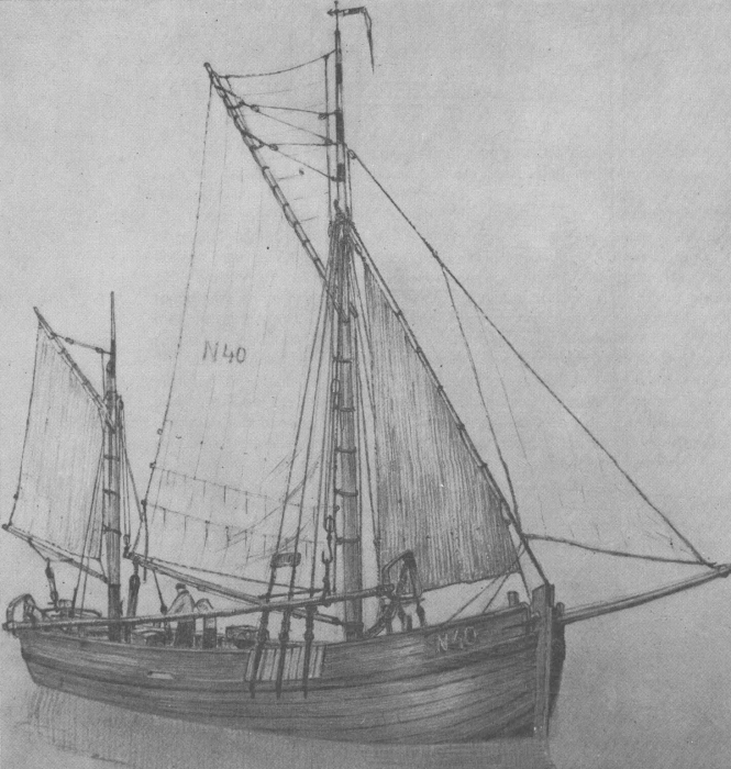 Desnerck (1976, fig. 163)