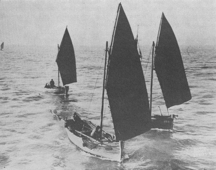 Desnerck (1976, fig. 222)