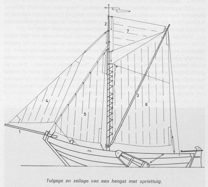 Desnerck (1976, fig. 349)