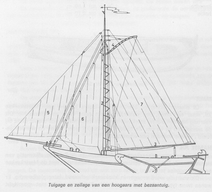Desnerck (1976, fig. 358)