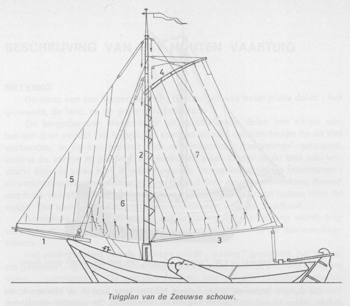 Desnerck (1976, fig. 379)
