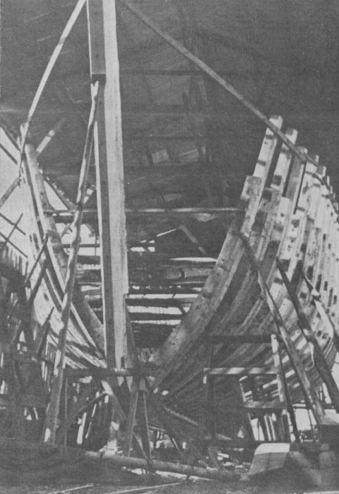 Desnerck (1976, fig. 387)