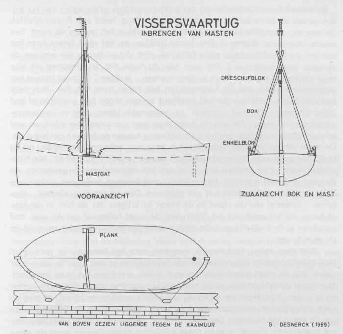 Desnerck (1976, fig. 411)