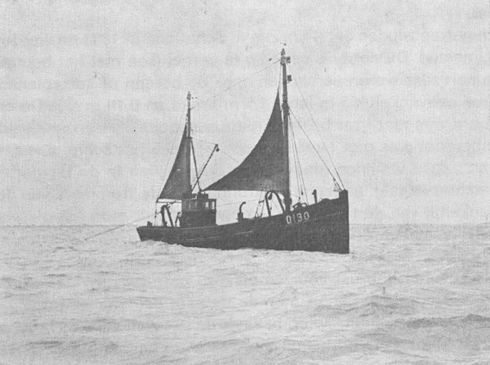 Desnerck (1976, fig. 445)
