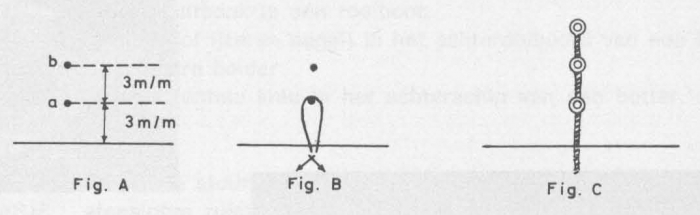 Desnerck (1976, fig. 478)