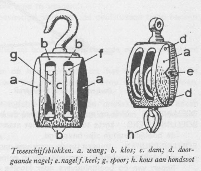 Desnerck (1976, fig. 487)