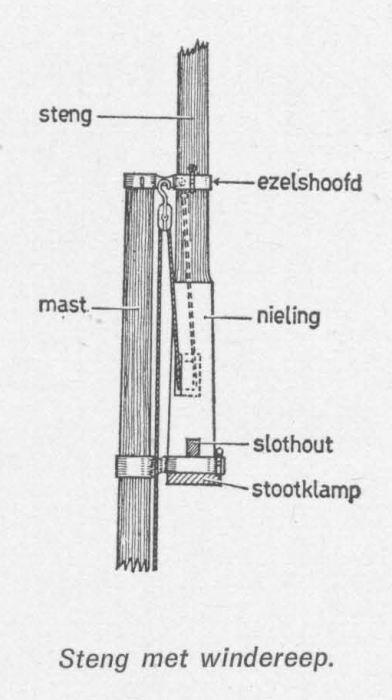 Desnerck (1976, fig. 507)