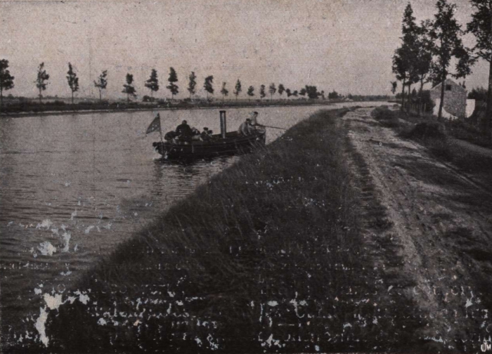 Gilson (1914, fig. 009)