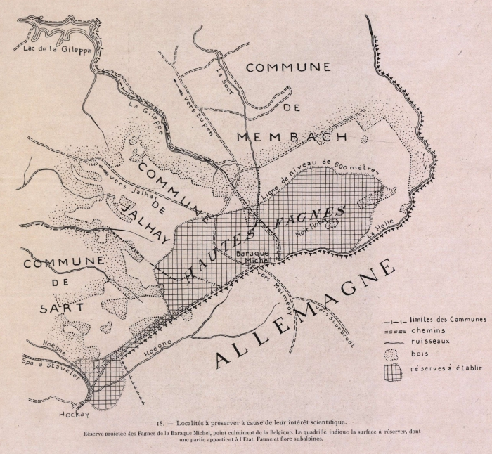 Gilson (1914, fig. 018)