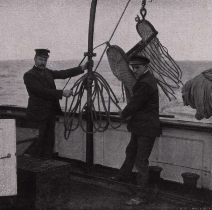 Gilson (1914, fig. 047)