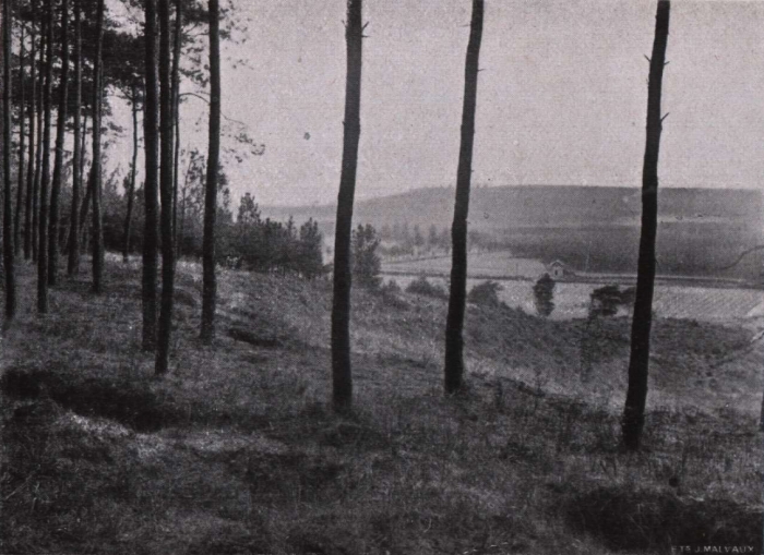 Gilson (1914, fig. 055)