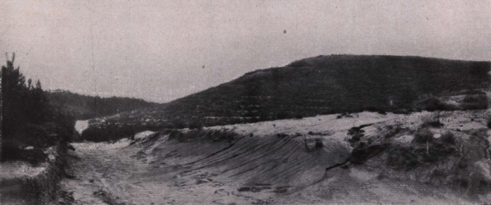 Gilson (1914, fig. 057)